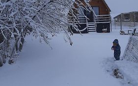 Thomas' Hut