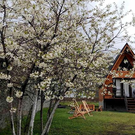 Ferienwohnung Thomas' Hut Kazbegi Exterior foto