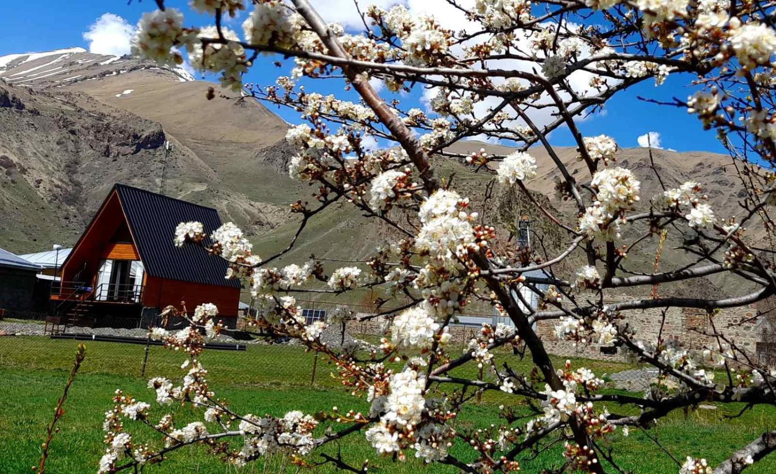 Ferienwohnung Thomas' Hut Kazbegi Exterior foto