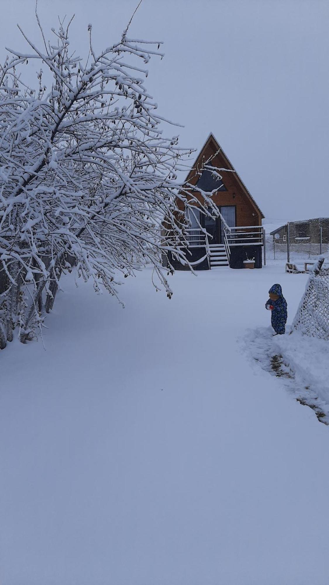 Ferienwohnung Thomas' Hut Kazbegi Exterior foto