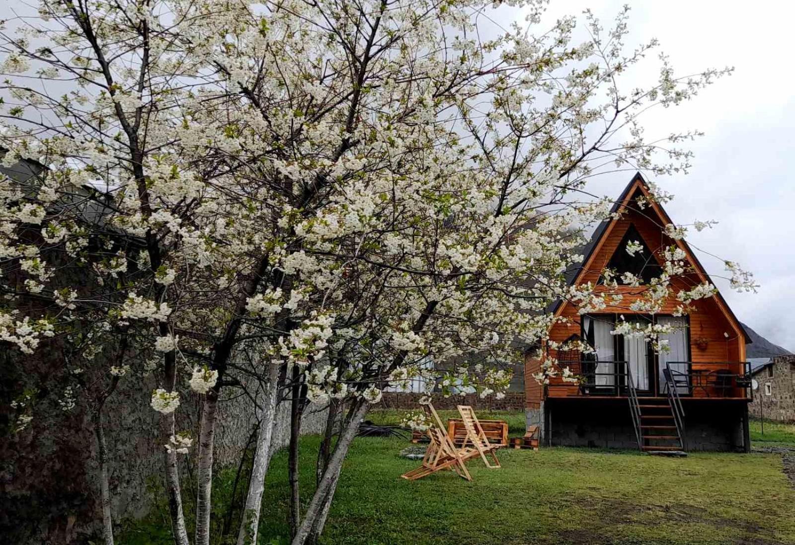Ferienwohnung Thomas' Hut Kazbegi Exterior foto
